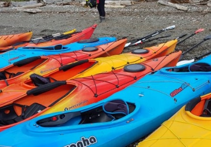 Single Kayaks & Hybrid Paddle Boards