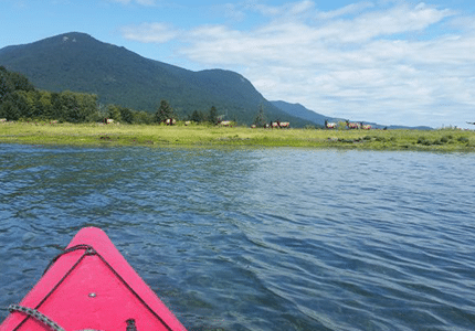 Dosewallips Estuary Kayak Tour