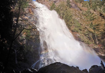 Olympic Peninsula Waterfalls –  Hiking Tour & Lunch